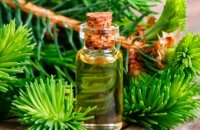 Чем уникально масло сосны — свойства и применение природного антисептика