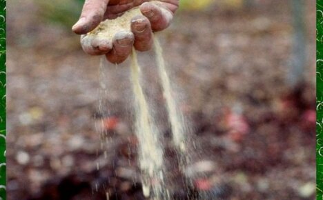 Раскисление почвы осенью – доступные и эффективные способы