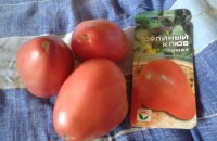 Лучшие сорта помидор для холодного климата и не только — томат Орлиный клюв, отзывы, фото