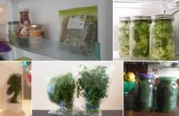 Как хранить зелень в холодильнике долго — проверенные способы