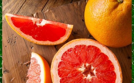 Чем полезен грейпфрут для мужчин, женщин и детей, возможные противопоказания