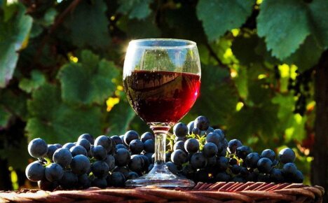 Учимся делать отменное домашнее вино из винограда в домашних условиях