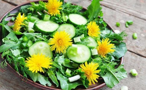 Рецепты приготовления полезных для организма салатов из одуванчиков