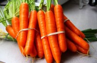 Морковь Тушон — долежат ли корнеплоды до нового урожая