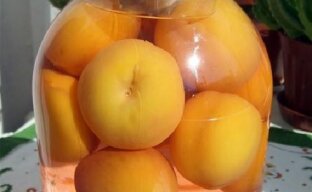 Ароматный компот из персиков с косточками на зиму