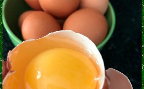 Сырые куриные яйца: польза или вред для мужчин и женщин, как и для чего пьют