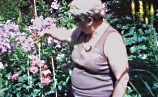 Клематисы – цветущие лианы в саду (видео)