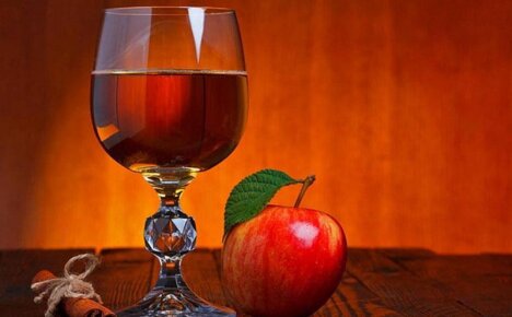 Готовим яблочное вино в домашних условиях простым и доступным способом