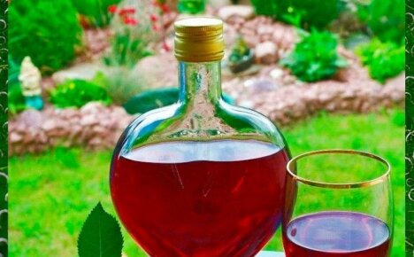 Готовим ароматное вино из лепестков роз в домашних условиях