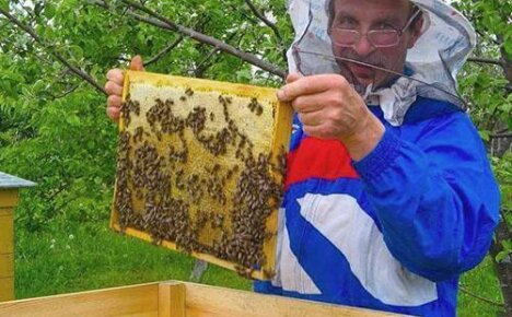 Как самостоятельно приготовить тыквенный мед дома