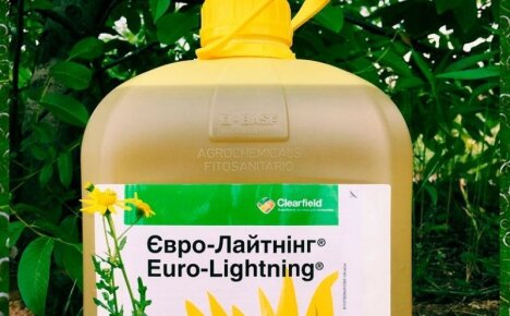 Инструкция гербицида Евролайтинг – правила эффективной борьбы со злостными сорняками