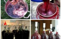 Как изготовить виноградное вино в домашних условиях — пошаговая инструкция
