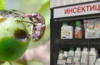 Обрабатываем сад инсектицидами — список популярных препаратов