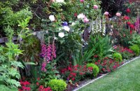 Как сочетать растения в саду — простые, но важные истины для дачника