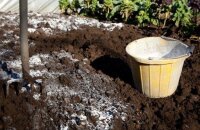 Известкование почвы осенью — норма внесения в зависимости от используемого вещества