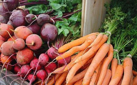 Как сохранить морковь и свеклу на зиму