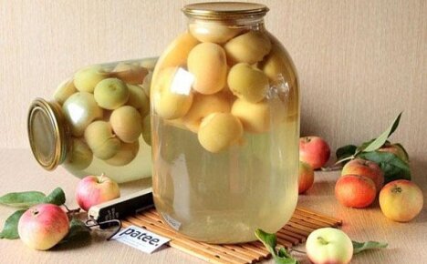 Универсальные рецепты компотов из яблок на зиму