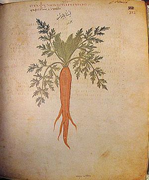 Храмовый рисунок моркови