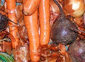 Хранение моркови в луковой шелухе