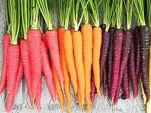 Морковь изначально была фиолетовой - история моркови, видео
