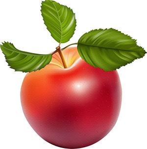Плод яблони