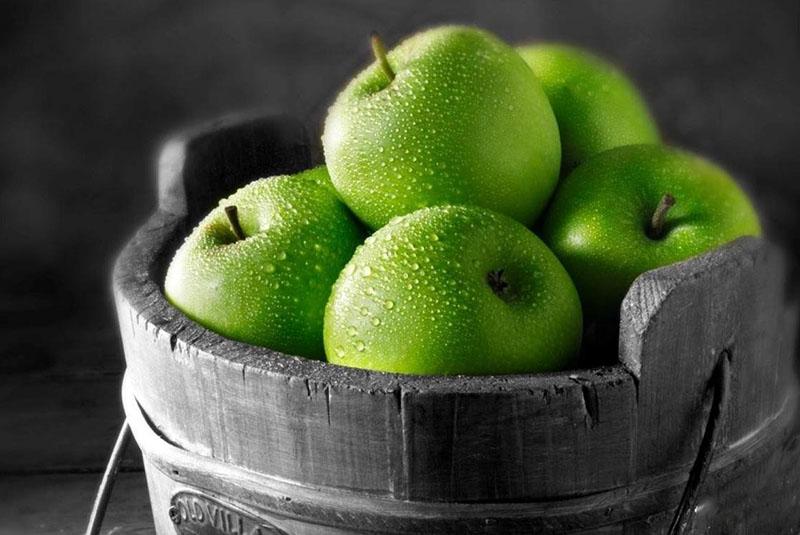сорта зеленых яблок