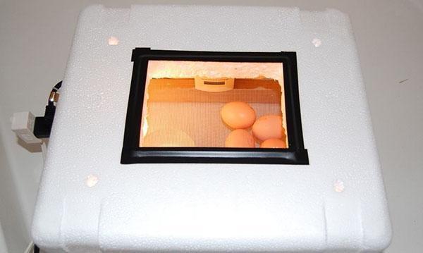 Samodelnyy inkubator v rabote