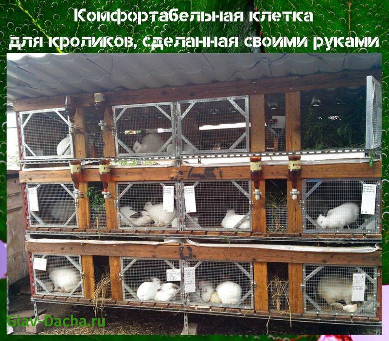 Разбираем конструкцию мини-фермы Михайлова для кроликов