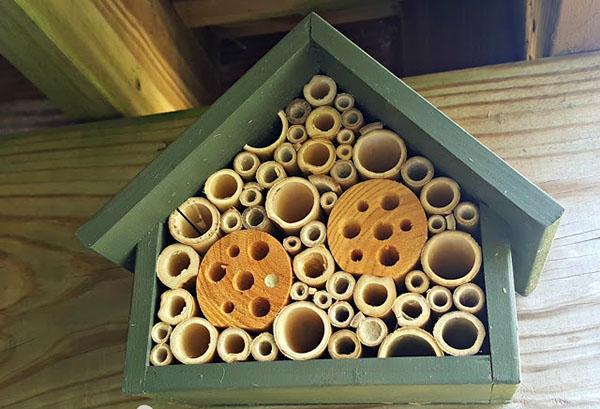 домик для диких пчел