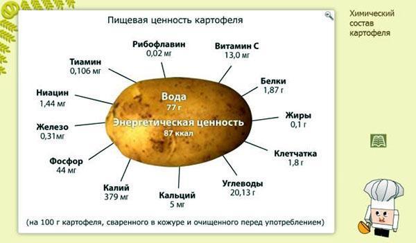 пищевая ценность картофеля