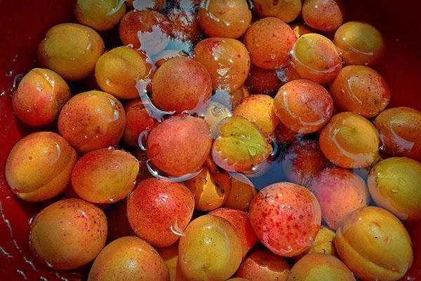 залить абрикосы водой