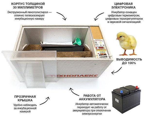 Инкубатор Блиц – обзор моделей на 48, 72, 120 яиц с автоматическим поворотом яиц, видео