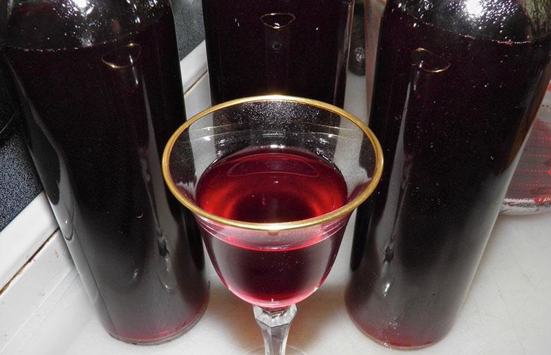 домашнее вино из винограда в домашних условиях