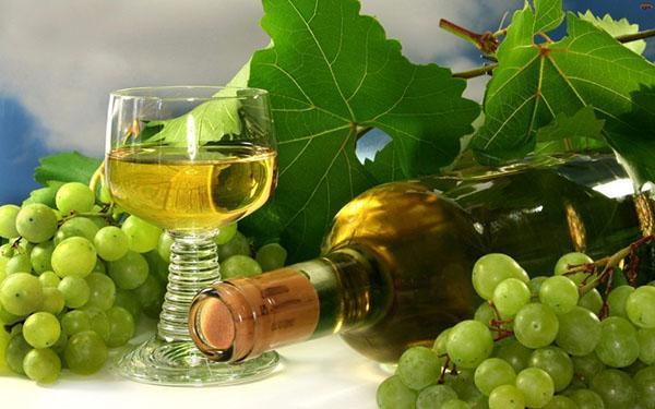 Шампанское из виноградных листьев в домашних условиях, рецепт приготовления игристого вина, видео