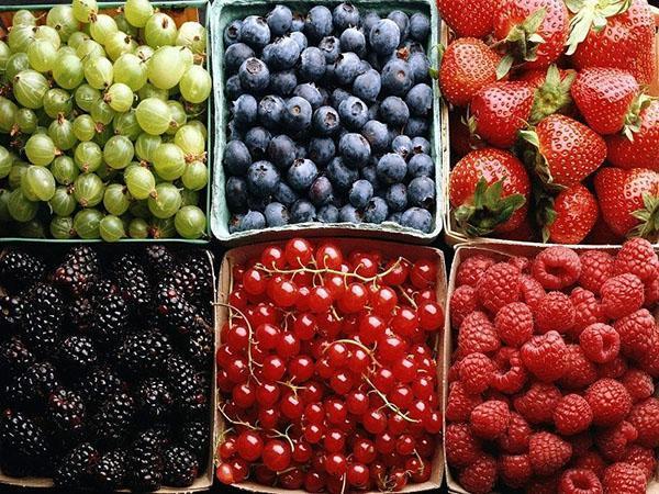 ягоды для компотов ассорти