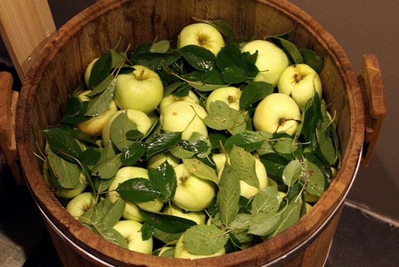 рецепт моченых яблок в духе русских традиций