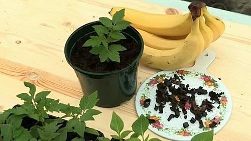 Удобрение для рассады из банановых шкурок как приготовить подкормку