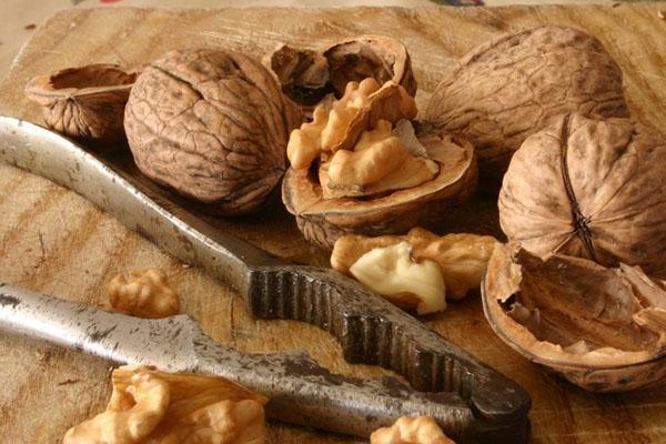 Скорлупа грецкого ореха – лечебные свойства, применение отвара и настойки от зубного камня, видео