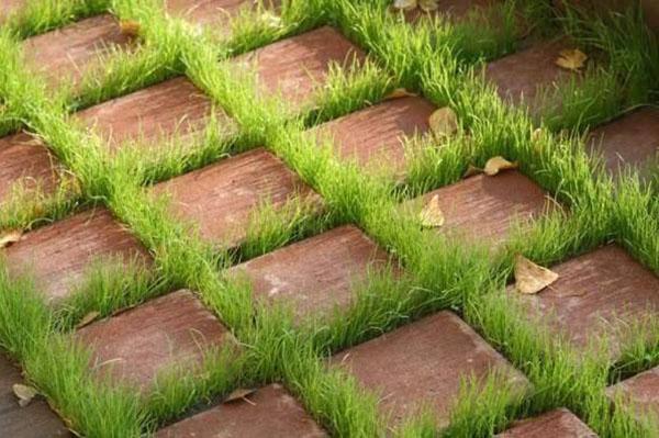 тротуарная плитка с зазорами из травы