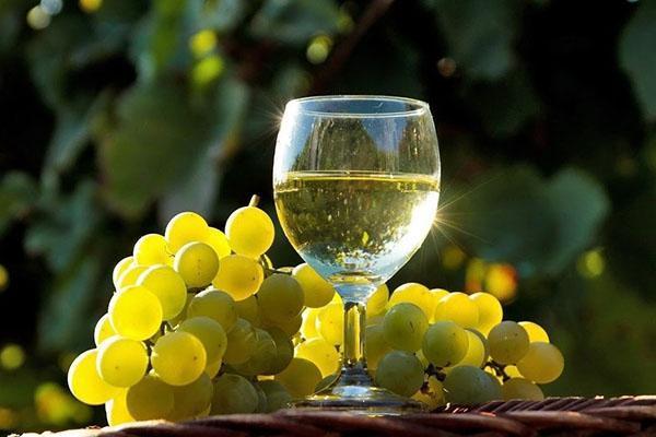 белое виноградное вино