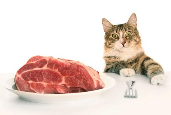 натуральное мясо для кота