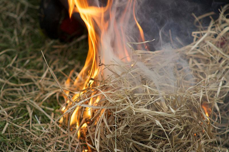 огонь для обжигания тушки кролика