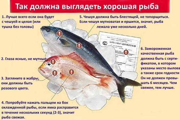 правила отбора рыбы для засолки