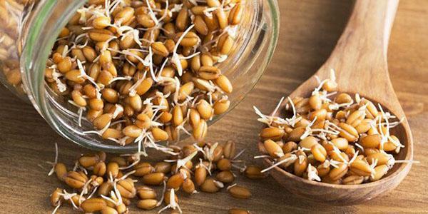норма потребления пророщенной пшеницы