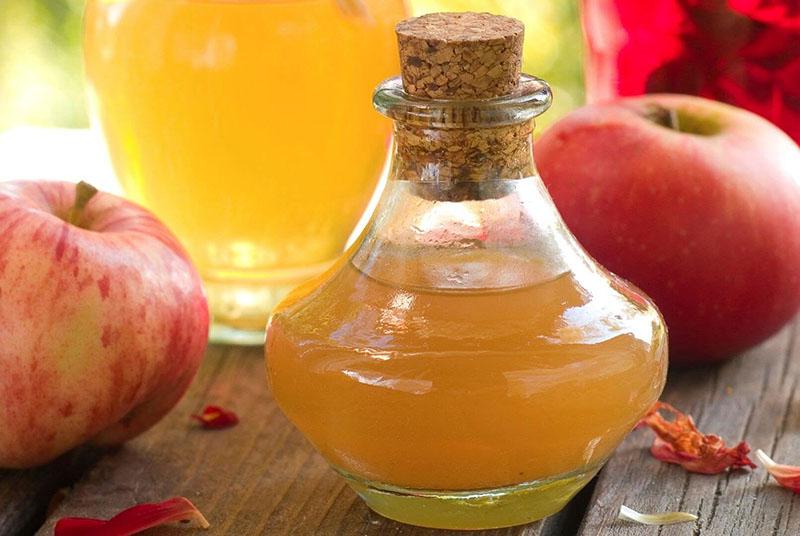простой рецепт яблочного уксуса в домашних условиях без сахара