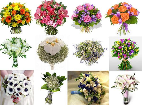 Цветы для букетов - фото и названия популярных цветов, составлениекомпозиции, видео
