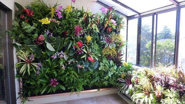 живая стена из цветущих растений