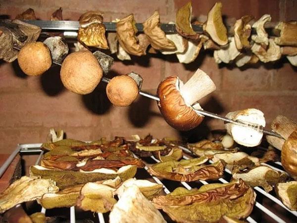 Сушеные грибы – как готовить перловку, суп, подливу, видео