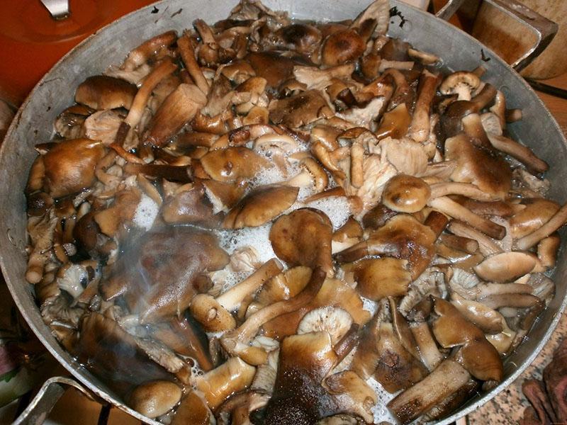 обжарить отваренные грибы