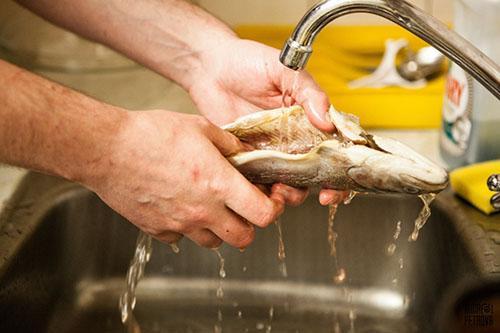 промыть рыбу перед копчением